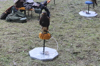 Image 001