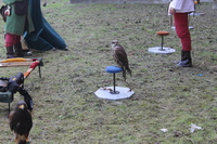Image 001