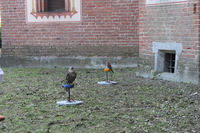 Image 001