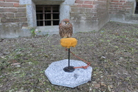 Image 001