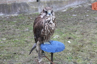 Image 001