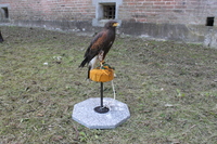 Image 001