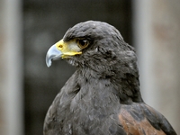 Image 001